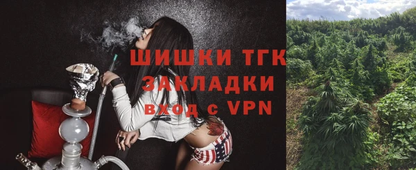 дживик Верея